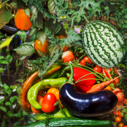 Collage of fruits and vegetables